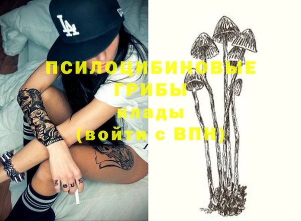 синтетический гашиш Алексин
