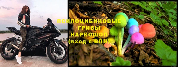 трава Переславль-Залесский