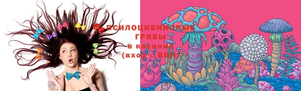 Альфа ПВП Алексеевка