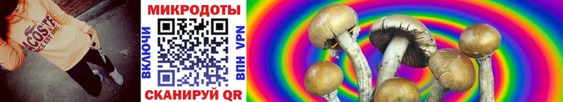 mega ТОР Ардатов Галлюциногенные грибы GOLDEN TEACHER